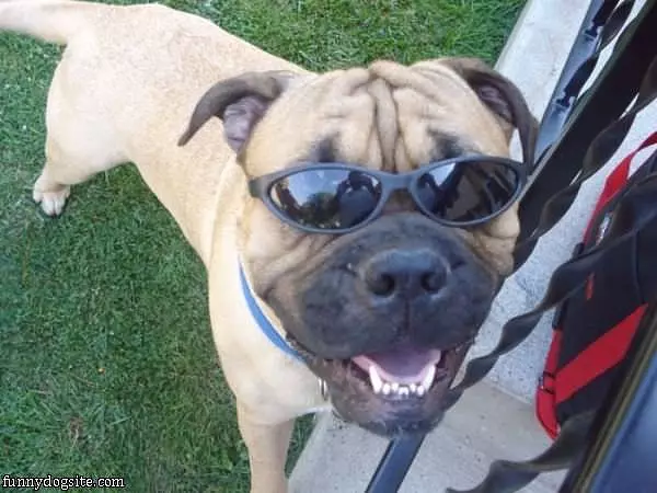 Too Sunny Outside