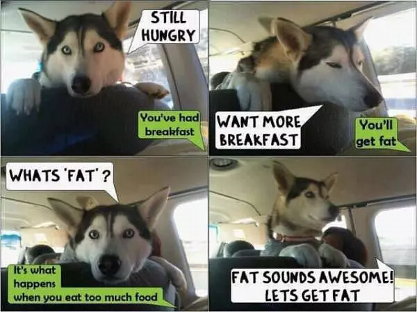 Want More Food