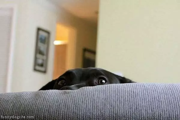 Im Hiding