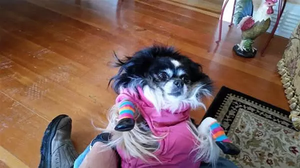 Trying To Look Cute
