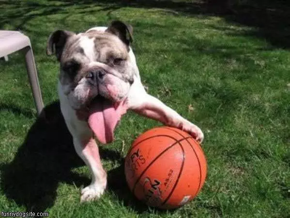 Basketball Time