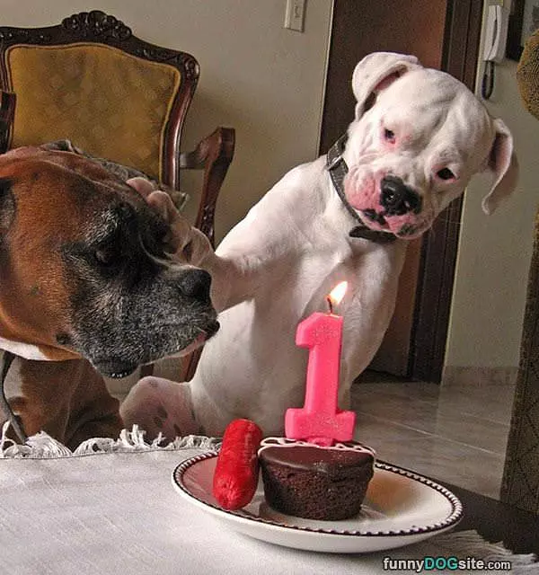 No This Is Mine