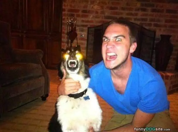 Rawrrring Together