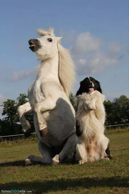 Showing Off Our Sitting