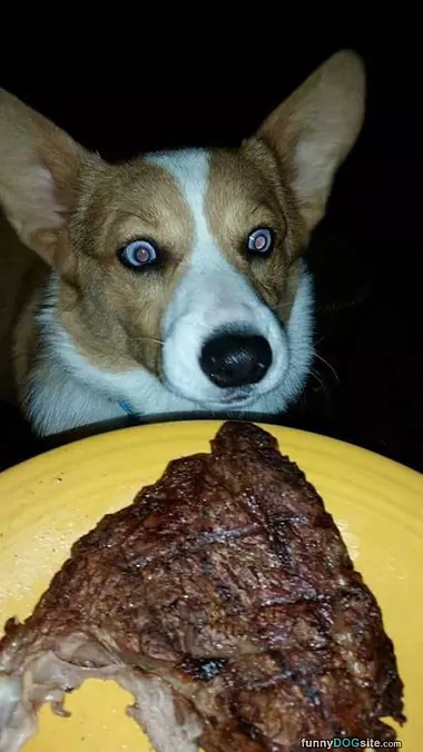 Can I Eat This
