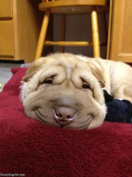 I Am So Happy