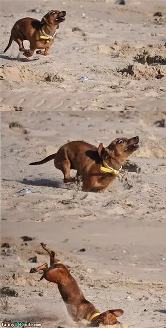 Running Running