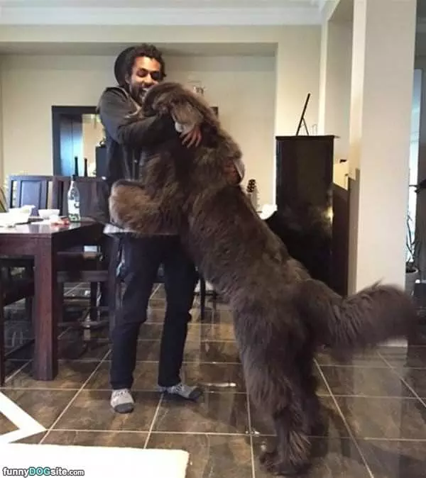 Time For Hugs