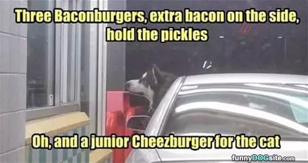 I Need Some Burgers