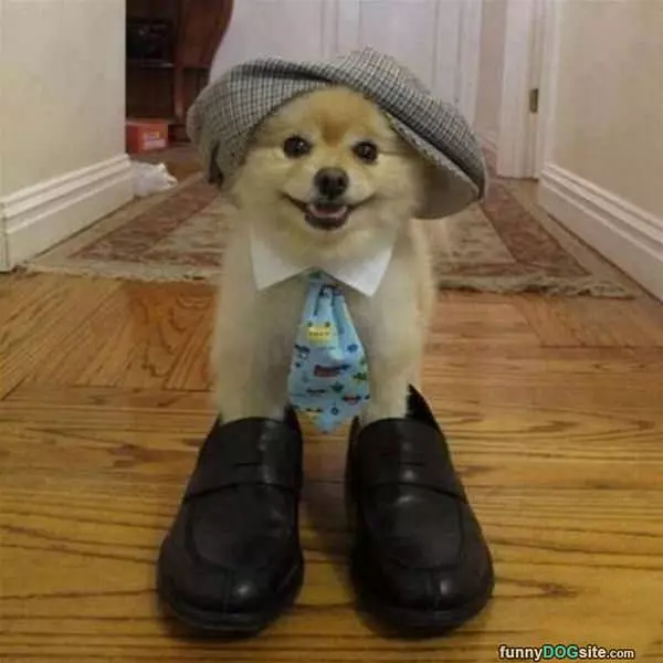 I Am Ready For Work