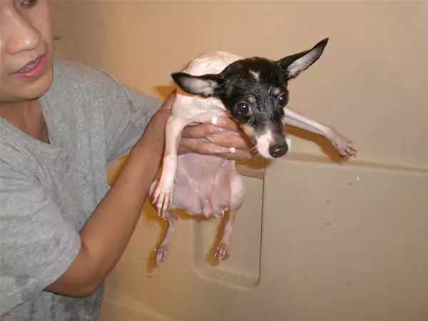 Tayle Getting A Wash