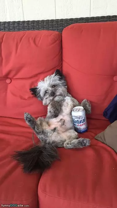 Got A Beer And Ready