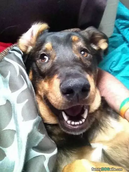 My Adorable Smile