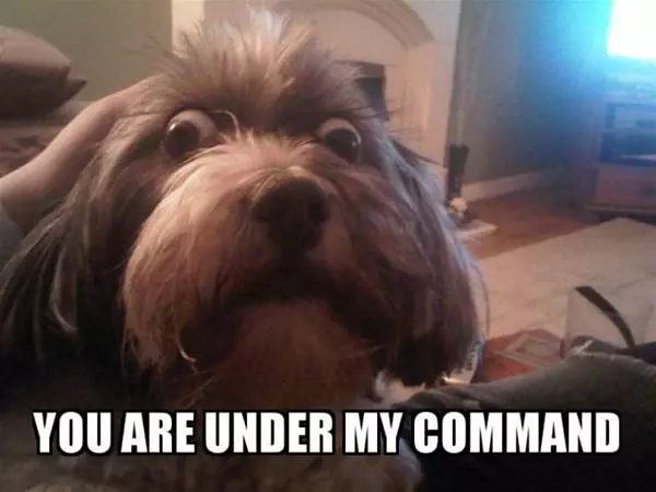 Under My Command