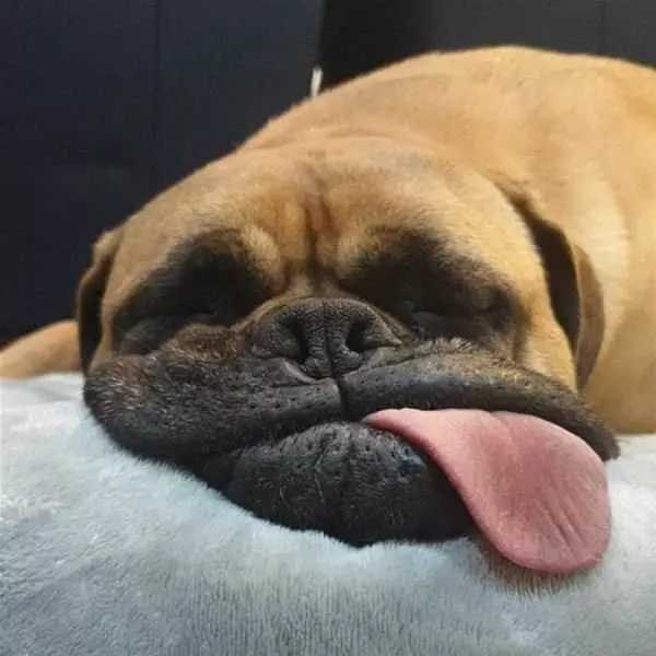 Tongue Out