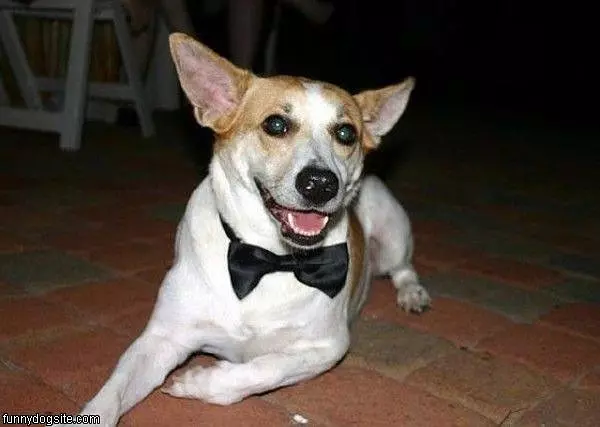 Nice Tie