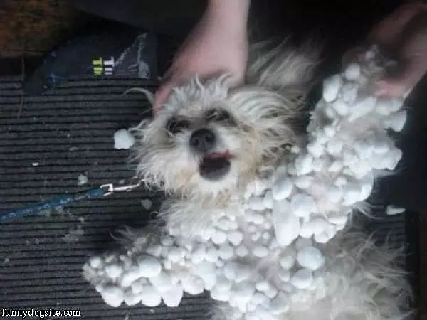 Snowball