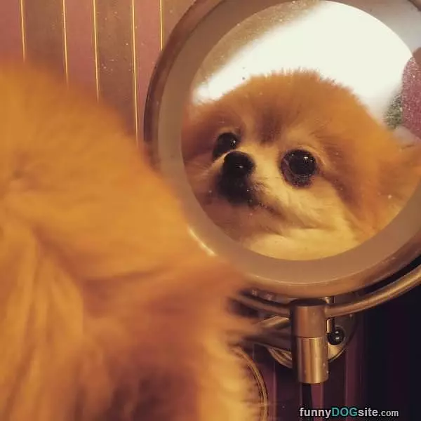 I Am Fabulous