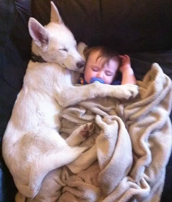 Napping Together