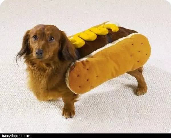 Hot Dog