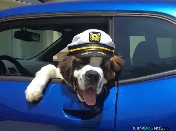 Hanging Out The Car