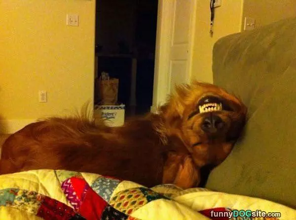Cheeeeeeeese
