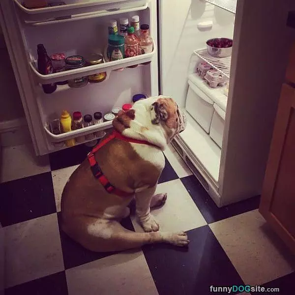 Nothing To Eat