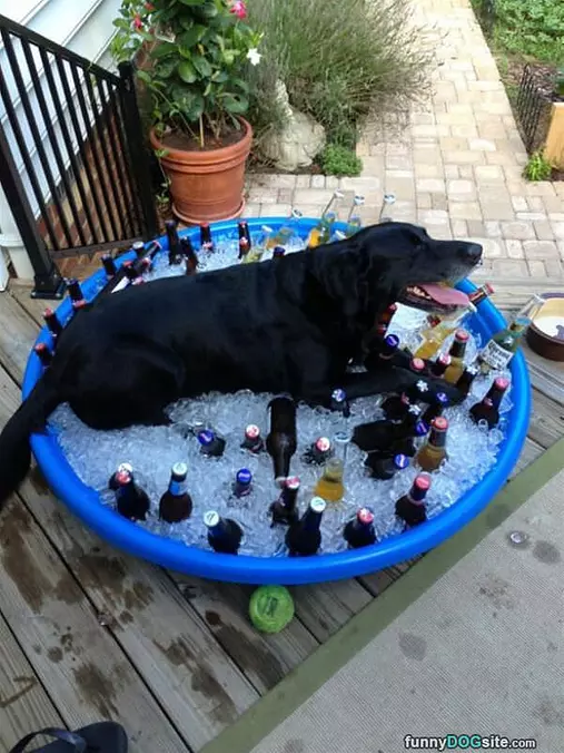 Cooling Off A Bit