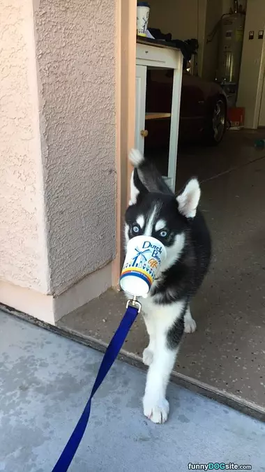 I Have A Cup
