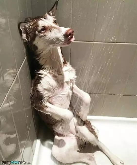 Chillin In The Shower