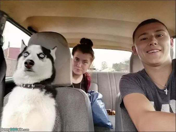 Scary Ride