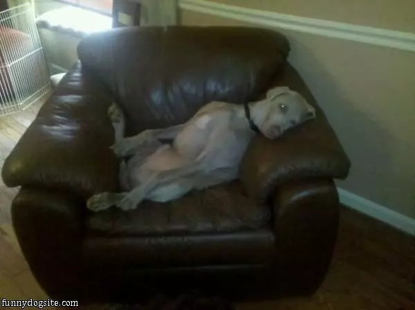 I Love This Chair