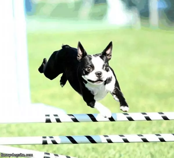 Running And Jumping