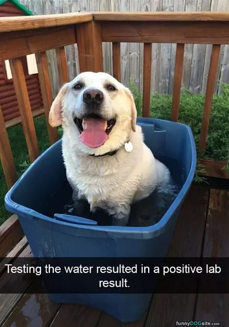 Positive Lab Results
