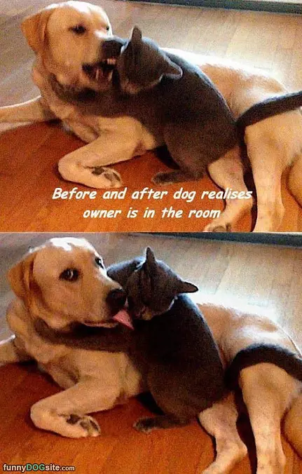 Before And After Bath