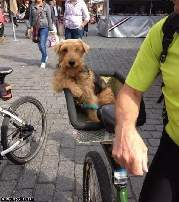 Just Chillin On My Ride
