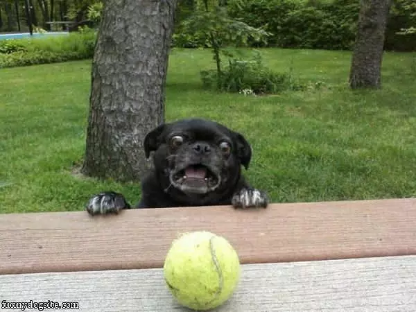 I Cant Fetch It There