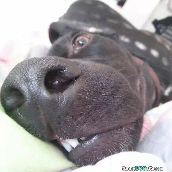 Super Extreme Closeup