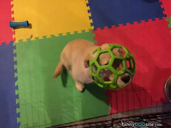 Help Me I Am Stuck
