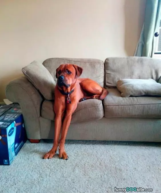 Chillin On Da Couch