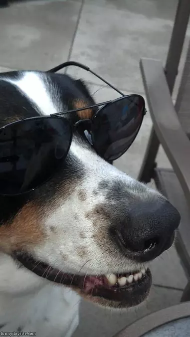 Just Being Cool