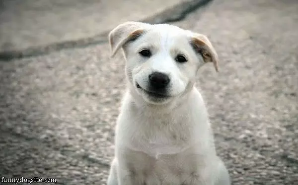 Cute Smile