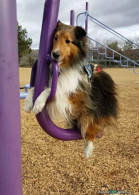 Cute Swinging