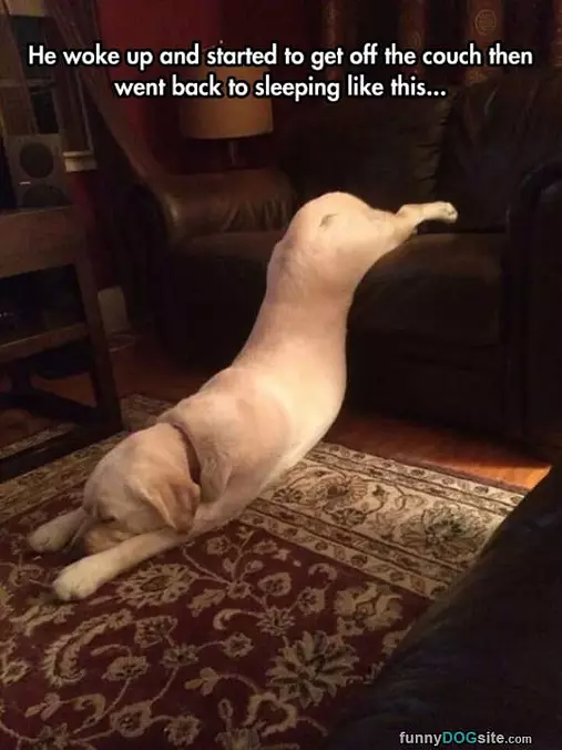 Determined To Sleep