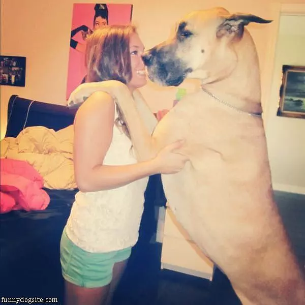 Giant Dog Wants A Kiss