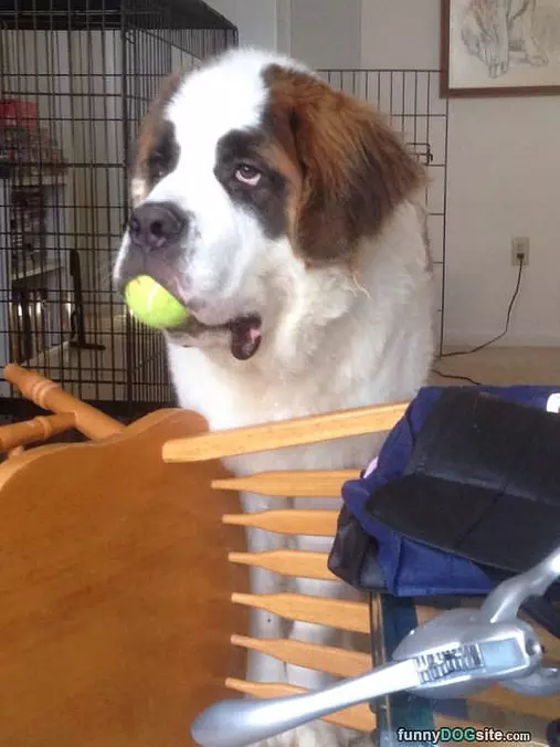 You Bore Me