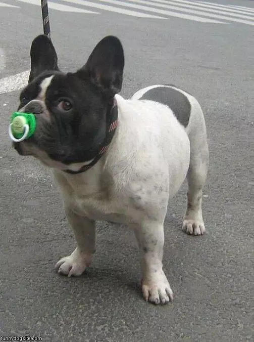 This Is Mine