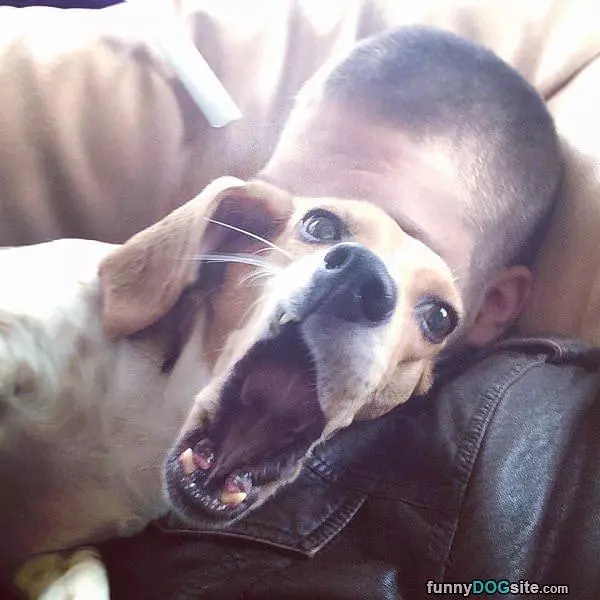 Bark Bark