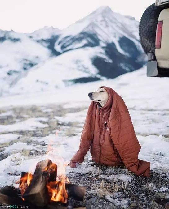 Staying Warm