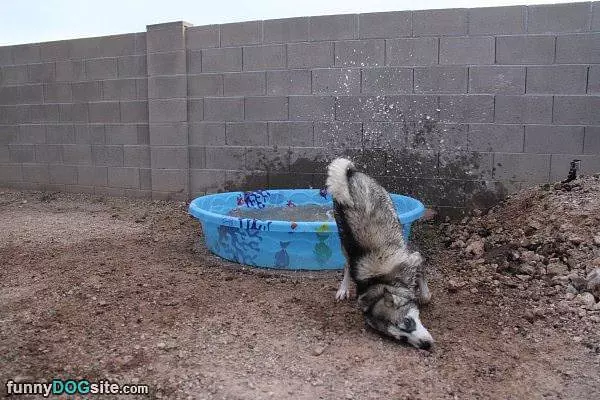 Time To Get Dirty Again
